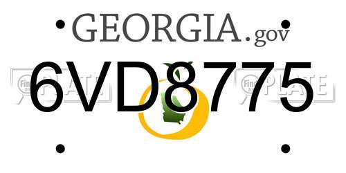 6VD8775 Georgia License Plate