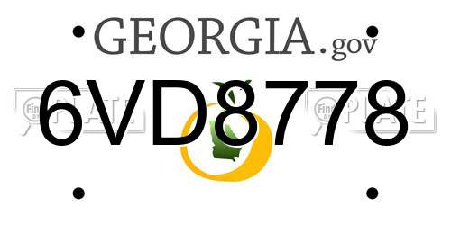6VD8778 Georgia License Plate