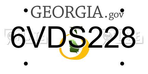 6VDS228 Georgia License Plate