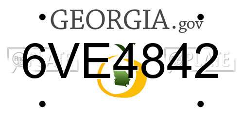 6VE4842 Georgia License Plate