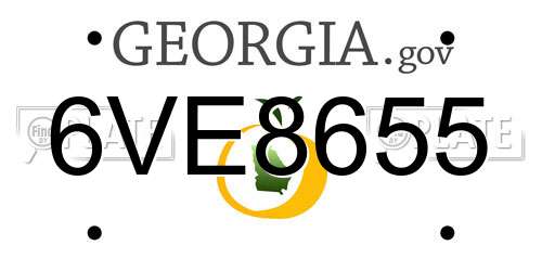 6VE8655 Georgia License Plate