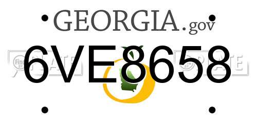 6VE8658 Georgia License Plate