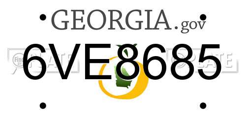 6VE8685 Georgia License Plate