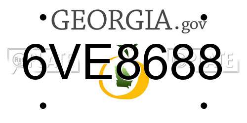 6VE8688 Georgia License Plate