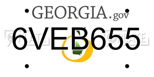 6VEB655 Georgia License Plate