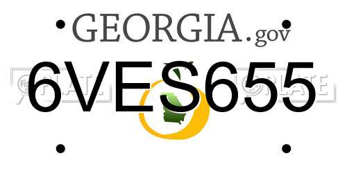 6VES655 Georgia License Plate