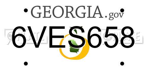 6VES658 Georgia License Plate