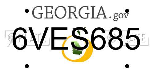 6VES685 Georgia License Plate