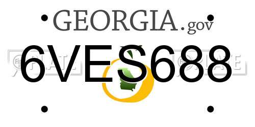 6VES688 Georgia License Plate