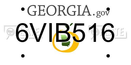 6VIB516 Georgia License Plate