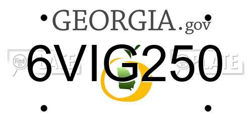 6VIG250 Georgia License Plate