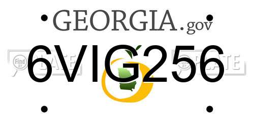 6VIG256 Georgia License Plate
