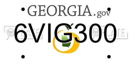 6VIG300 Georgia License Plate