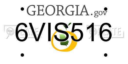 6VIS516 Georgia License Plate