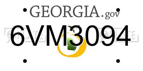 6VM3094 Georgia License Plate