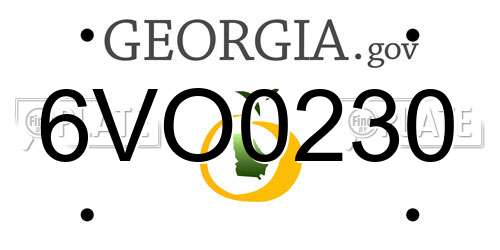 6VO0230 Georgia License Plate