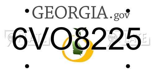 6VO8225 Georgia License Plate