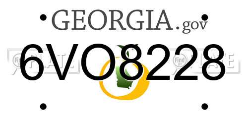 6VO8228 Georgia License Plate