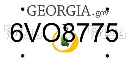 6VO8775 Georgia License Plate