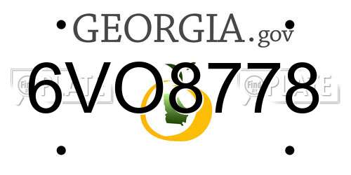 6VO8778 Georgia License Plate