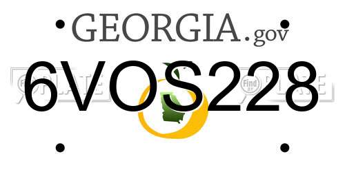 6VOS228 Georgia License Plate