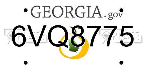 6VQ8775 Georgia License Plate