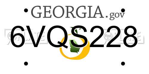 6VQS228 Georgia License Plate