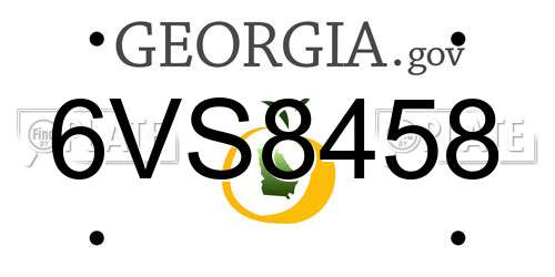 6VS8458 Georgia License Plate