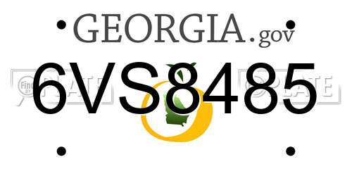 6VS8485 Georgia License Plate