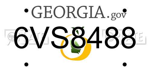 6VS8488 Georgia License Plate