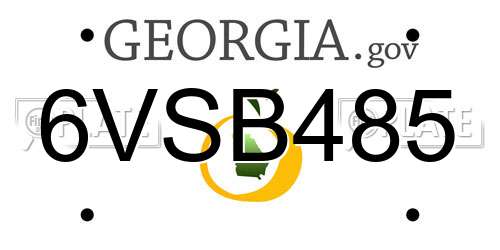 6VSB485 Georgia License Plate