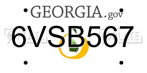 6VSB567 Georgia License Plate