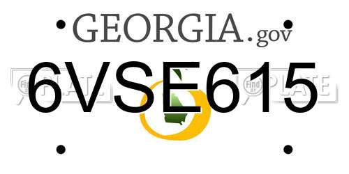 6VSE615 Georgia License Plate