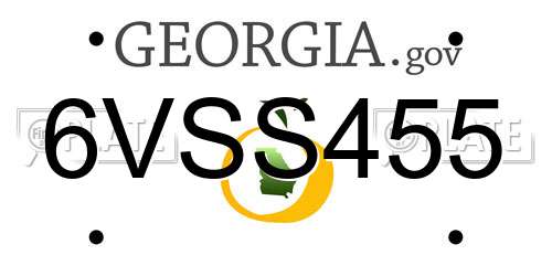 6VSS455 Georgia License Plate