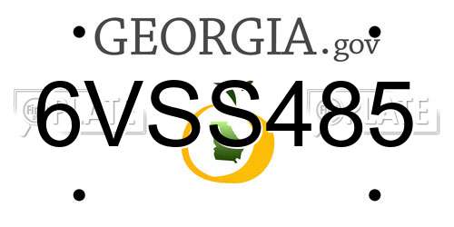 6VSS485 Georgia License Plate