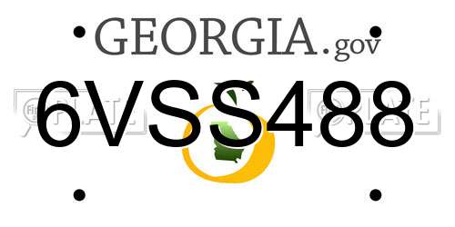 6VSS488 Georgia License Plate