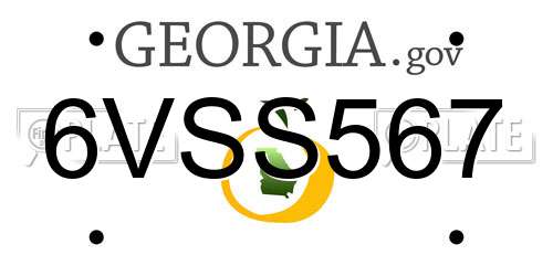 6VSS567 Georgia License Plate