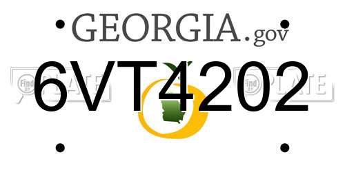 6VT4202 Georgia License Plate