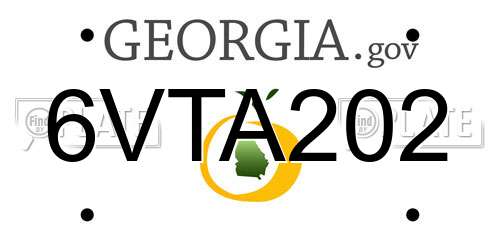 6VTA202 Georgia License Plate