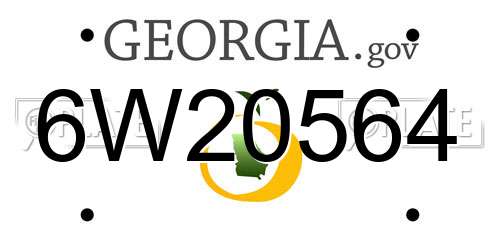 6W20564 Georgia License Plate