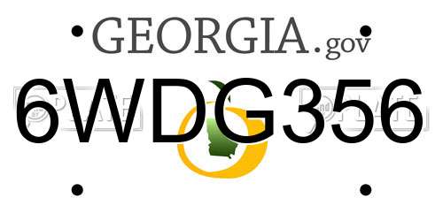 6WDG356 Georgia License Plate