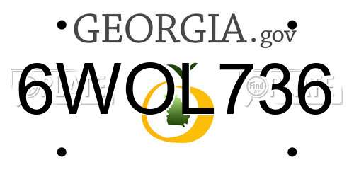 6WOL736 Georgia License Plate