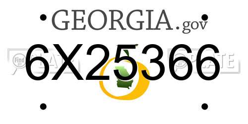 6X25366 Georgia License Plate