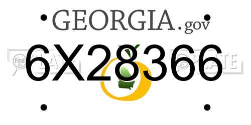 6X28366 Georgia License Plate