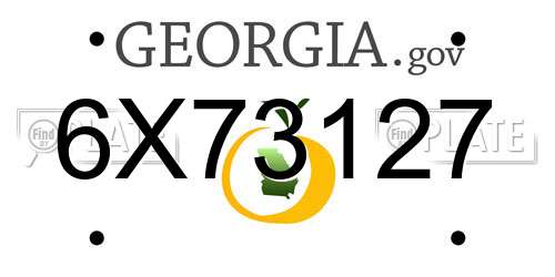 6X73127 Georgia License Plate