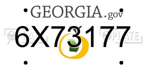 6X73177 Georgia License Plate