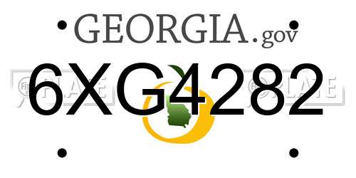 6XG4282 Georgia License Plate
