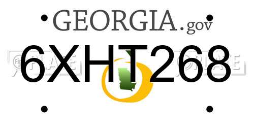 6XHT268 Georgia License Plate