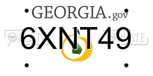 6XNT49 Georgia License Plate