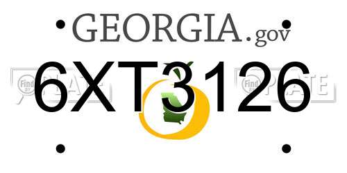 6XT3126 Georgia License Plate
